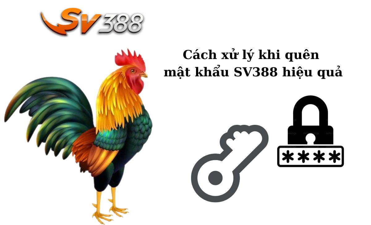 Cách xử lý khi quên mật khẩu SV388 hiệu quả