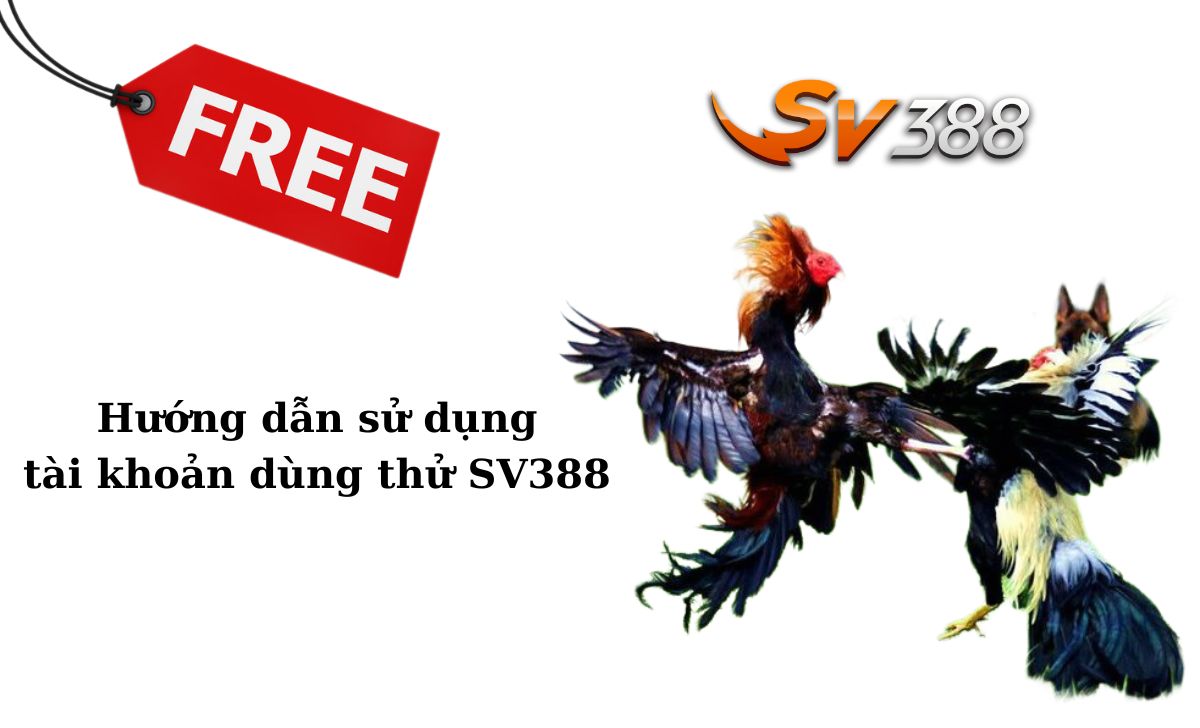 Hướng dẫn sử dụng tài khoản dùng thử SV388 hiệu quả