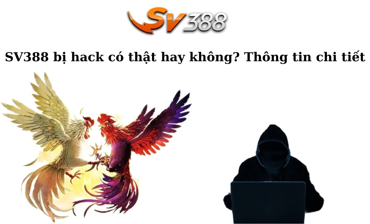 SV388 bị hack có thật hay không? Thông tin chi tiết