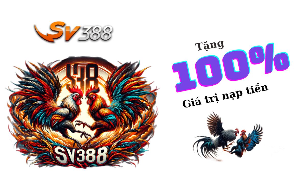 Chương trình ưu đãi 100% cho thành viên mới